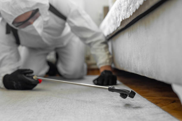 Professional Termite Control technician working in Springville, AL