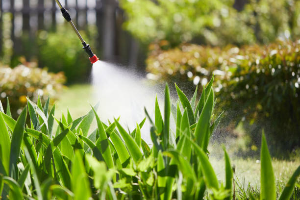 24/7 Emergency Termite Control experts in Springville, AL