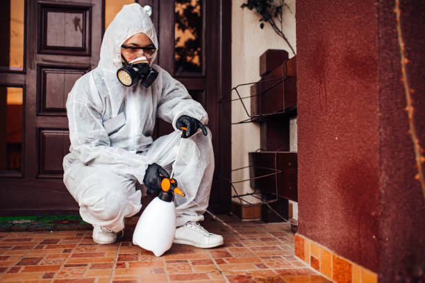 Reliable Termite Control contractor in Springville, AL by Nex Pest Control